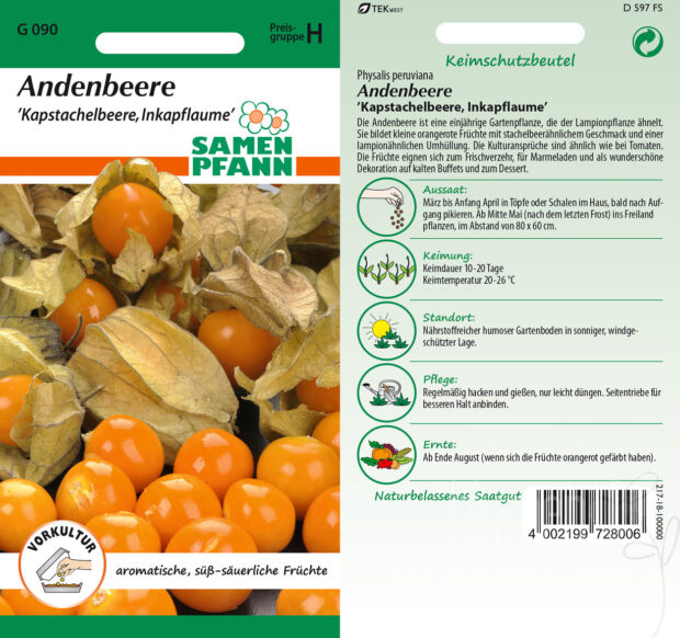 Andenbeere