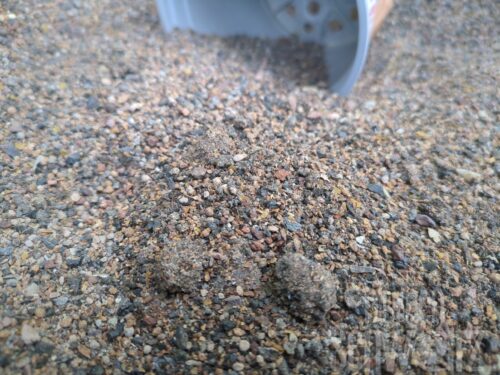 Baumschuldünger Provita 7+2+5,12er Topf, ca 500g