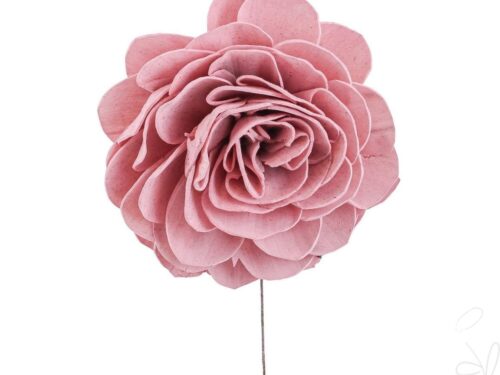 Solabl. Beauty Rose, 12cm, frosted-rosa
