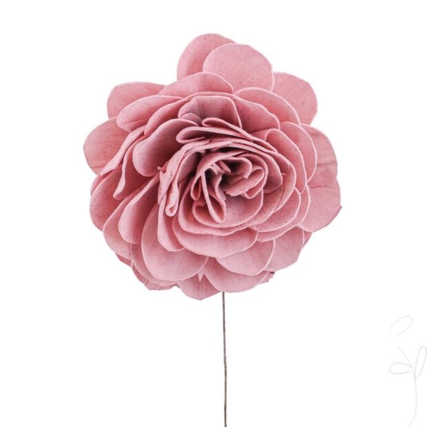 Solabl. Beauty Rose, 12cm, frosted-rosa