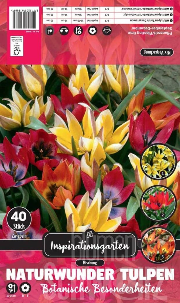 Sort. Naturwunder Tulpen
