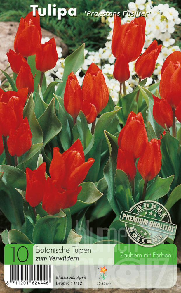 Botanisch Wild rot