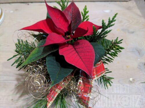 Werkstück Mini Weihnachtsstern dekoriert