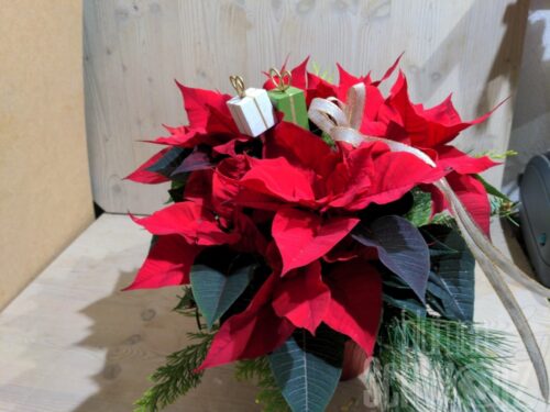 Werkstück Weihnachtsstern dekoriert