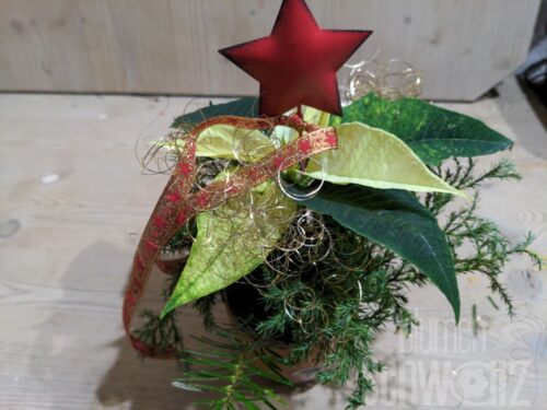 Werkstück Mini Weihnachtsstern dekoriert