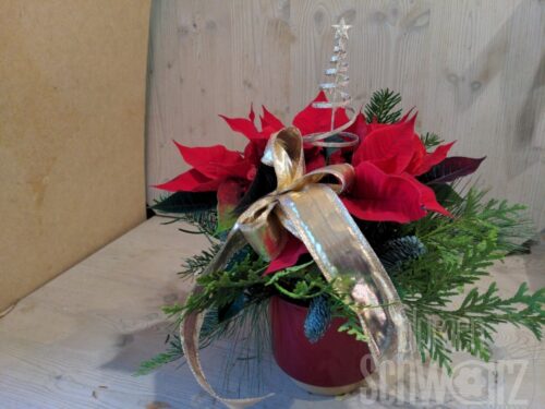 Werkstück Weihnachtsstern mit Übertopf