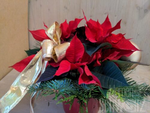 Werkstück Weihnachtsstern mit Übertopf