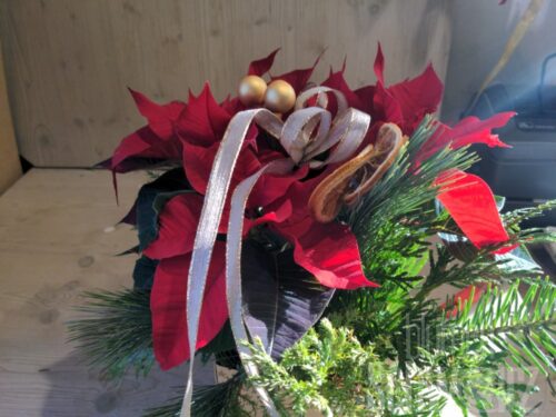 Werkstück Weihnachtsstern dekoriert