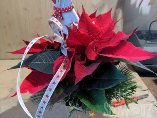 Werkstück Weihnachtsstern dekoriert