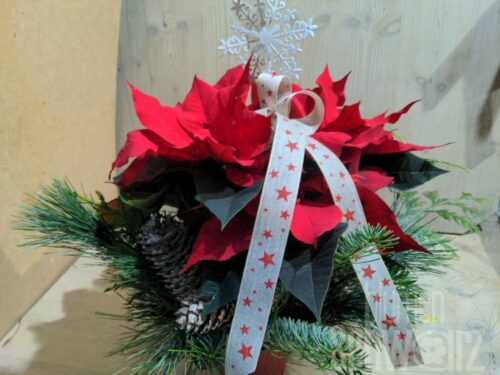 Werkstück Weihnachtsstern dekoriert