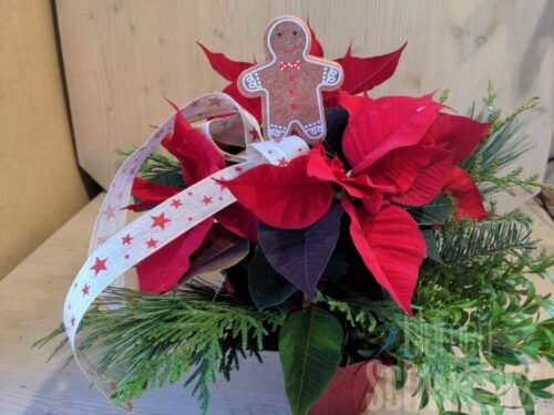 Werkstück Weihnachtsstern dekoriert