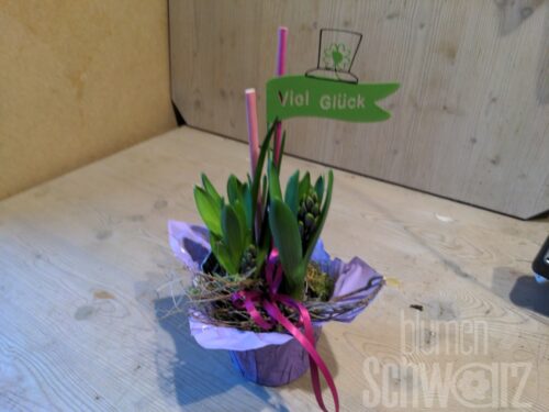 Werkstück Pflanze dekoriert