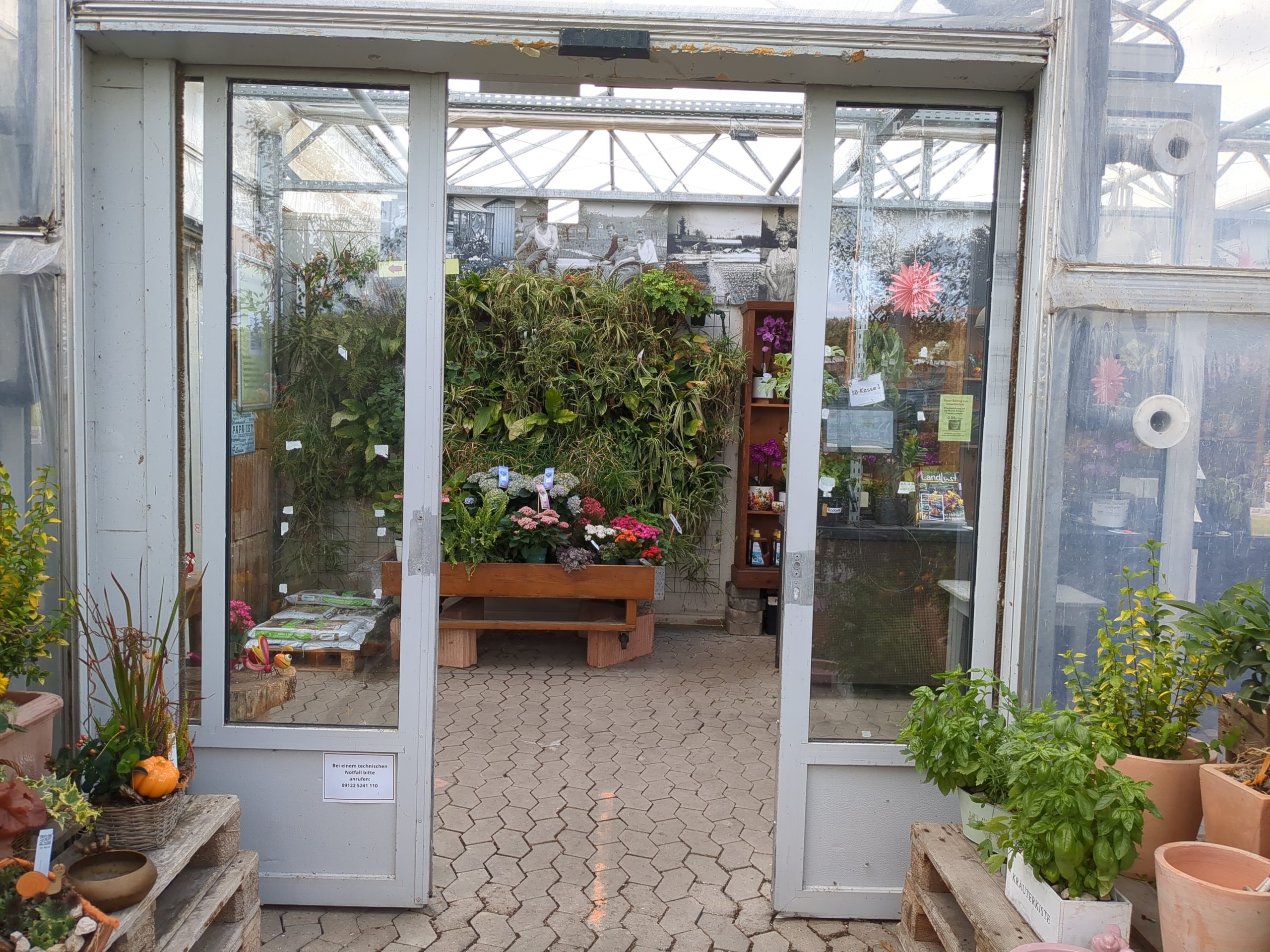 offene Eingangstür in Rutzendorf