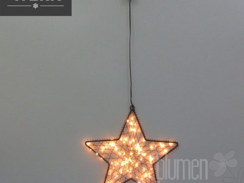 Winterwerk LED-Stern z. Hg. D28cm